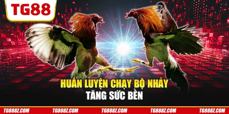 Huấn luyện chạy bộ nhảy tăng sức bền