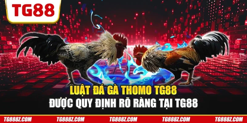 Luật đá gà Thomo TG88
