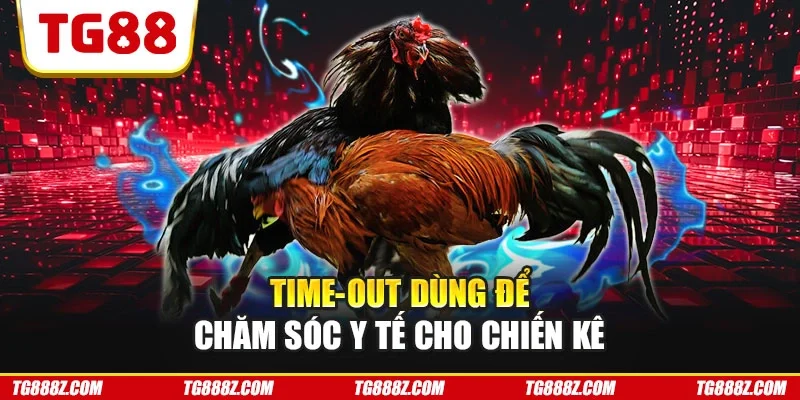 Time-out dùng để chăm sóc y tế cho chiến kê